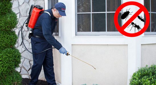 Evka 6 Hamam Böceği İlaçlama böcek ilaçlama ve haşere kontrolü — ilaclama-tr.com